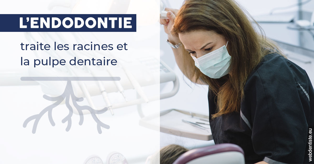 https://selarl-dr-valette-jerome.chirurgiens-dentistes.fr/L'endodontie 1