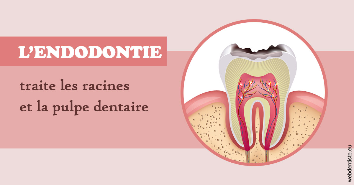 https://selarl-dr-valette-jerome.chirurgiens-dentistes.fr/L'endodontie 2
