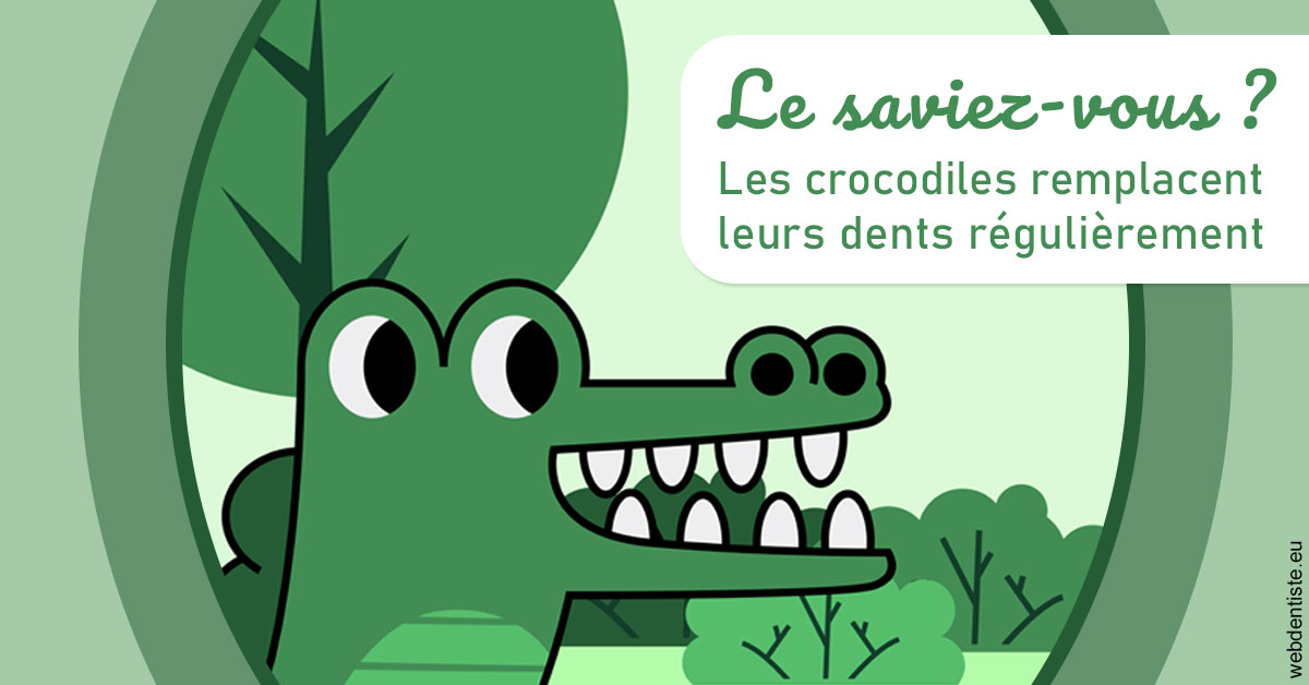 https://selarl-dr-valette-jerome.chirurgiens-dentistes.fr/Crocodiles 2